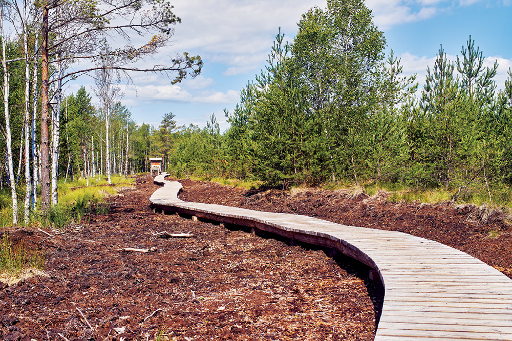 web OPZP_Priorita_aktuality_1000x666_07-2024